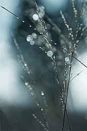 艾达王现身《生化危机4：重制版》新预告